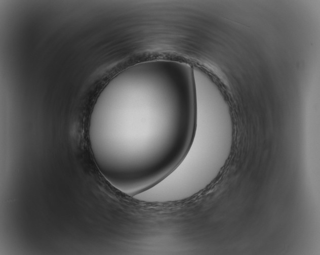 X0000089970872200706291102