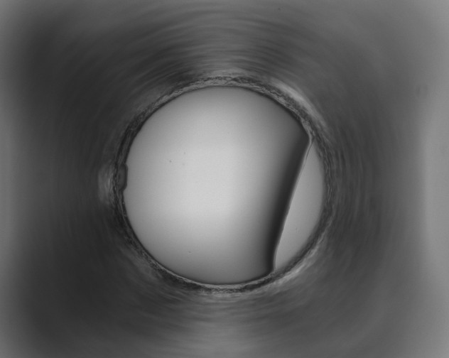 X0000089970873200706291102