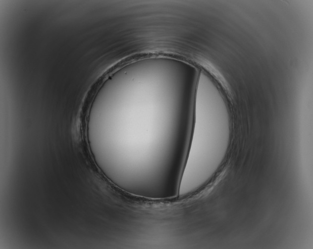 X0000089970876200706291102