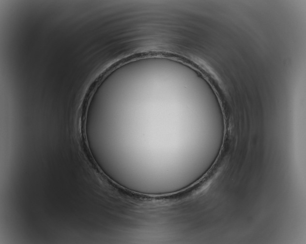 X0000089970877200706291102