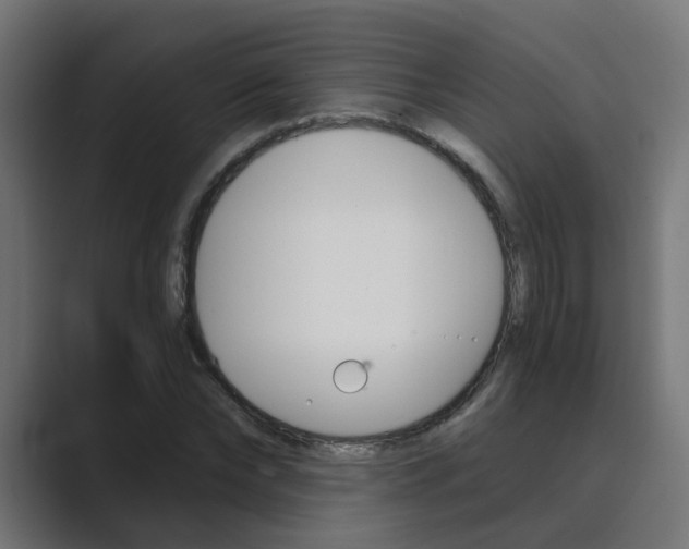 X0000089970878200706291102