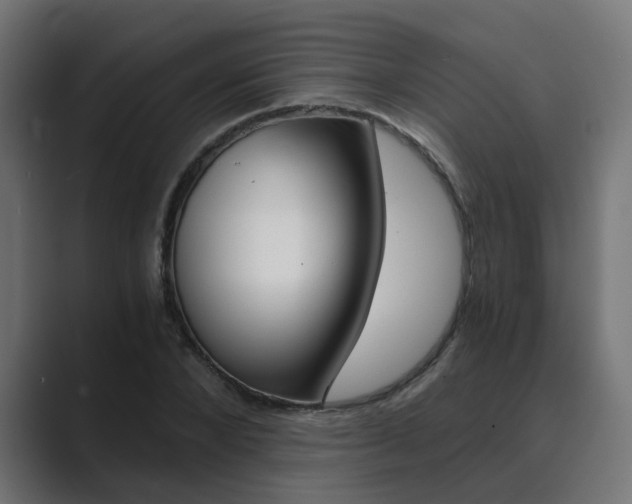 X0000089970880200706291102
