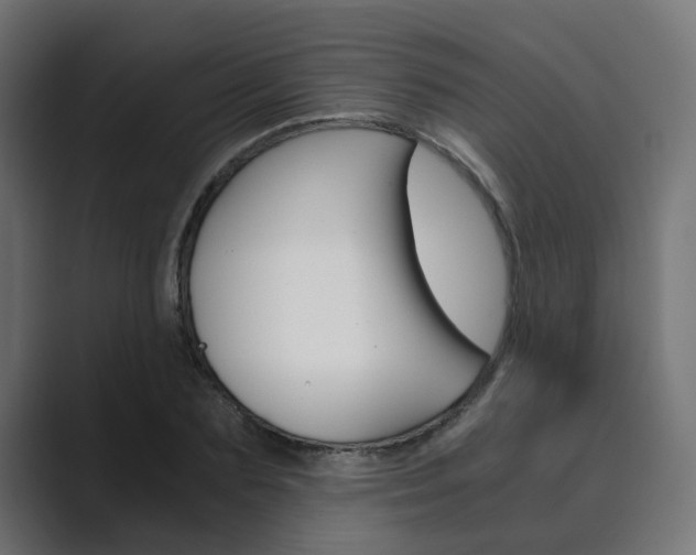 X0000089970883200706291102