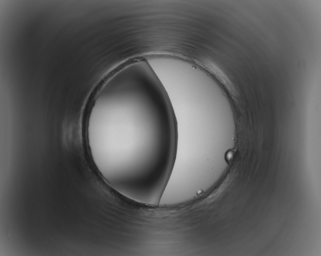 X0000089970884200706291102