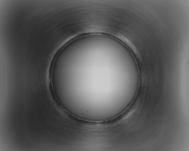 X0000089970885200706291102