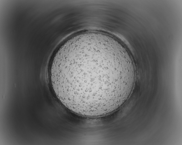 X0000089970887200706291102