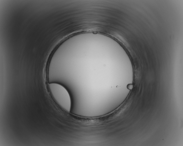 X0000089970891200706291102
