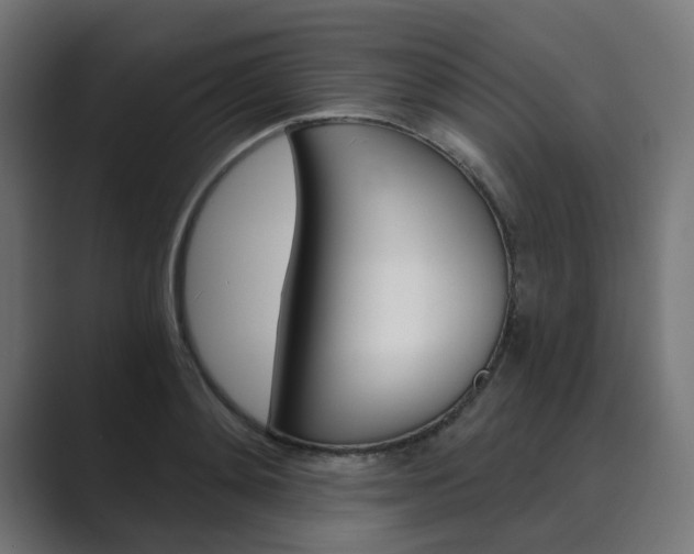 X0000089970892200706291102