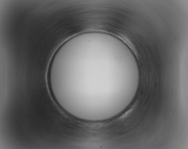 X0000089970893200706291102