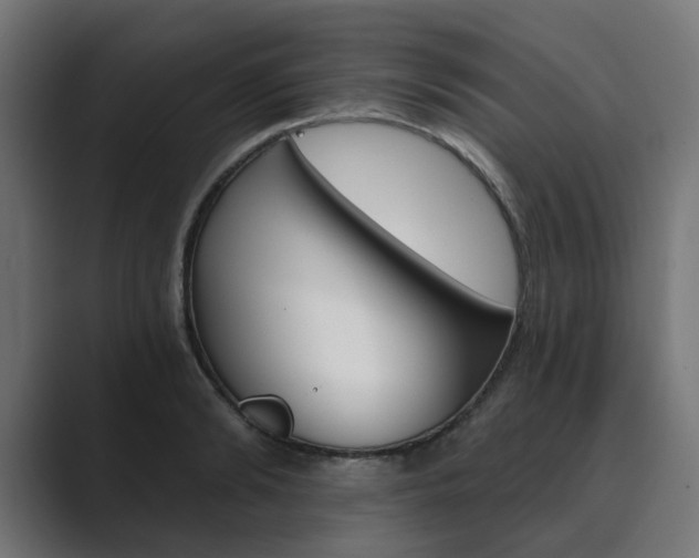 X0000089970894200706291102