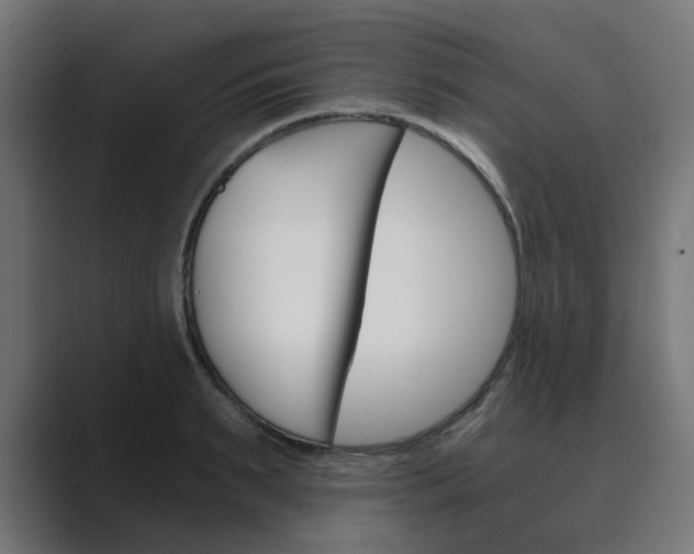 X0000089970895200706291102