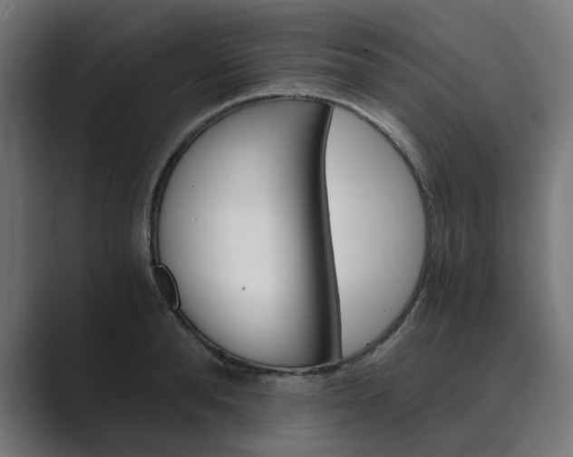 X0000089970896200706291102