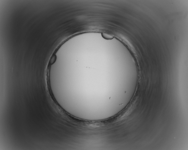 X0000089970899200706291102