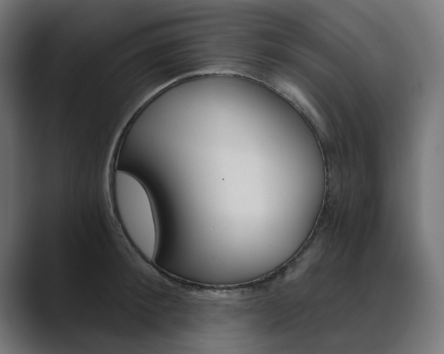 X0000089970900200706291102