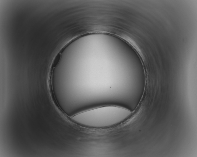 X0000089970901200706291102
