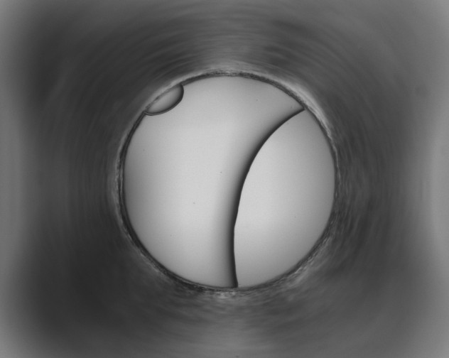 X0000089970903200706291102