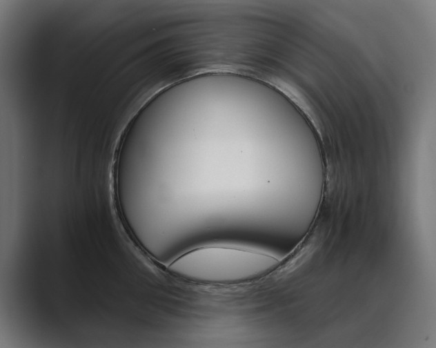 X0000089970906200706291102