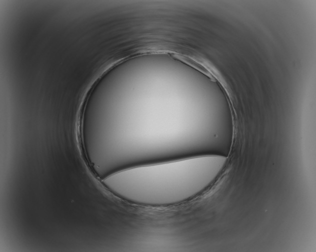 X0000089970909200706291102