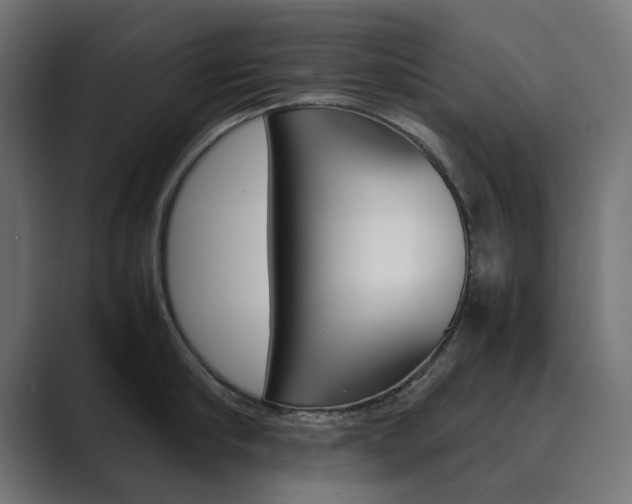 X0000089970910200706291102