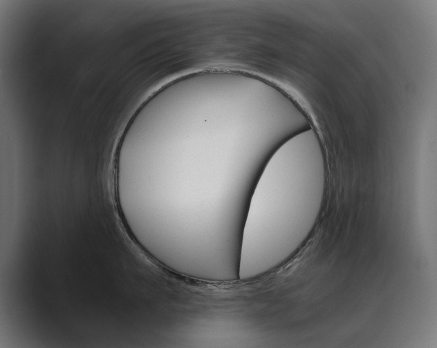 X0000089970911200706291102