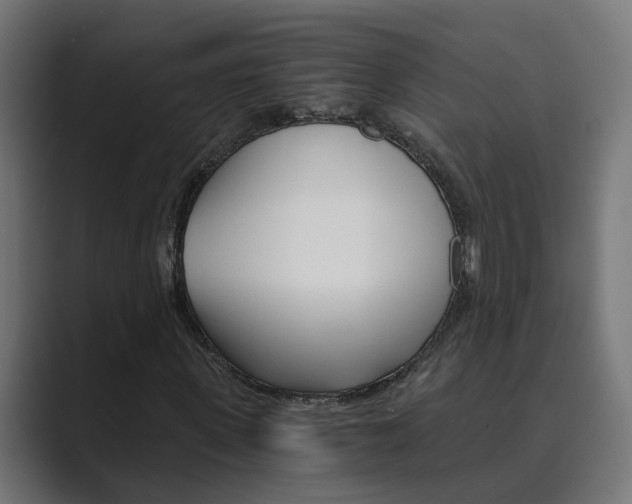 X0000089970915200706291101