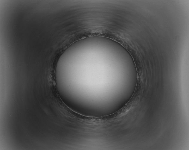 X0000089970916200706291101