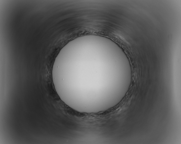 X0000089970917200706291101