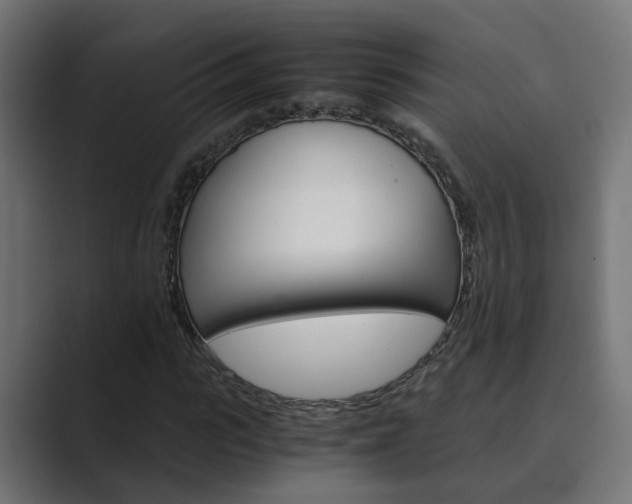 X0000089970919200706291101