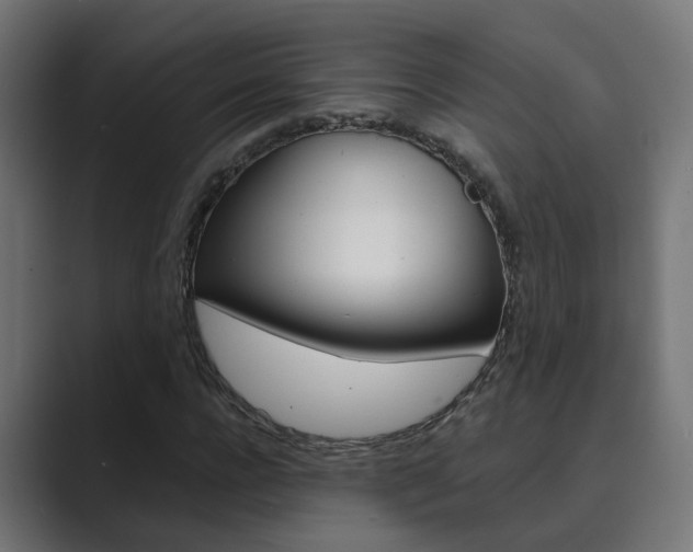 X0000089970920200706291101