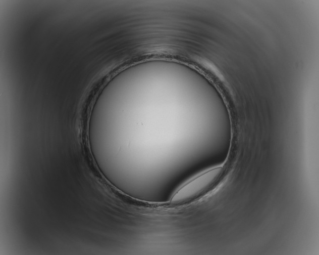 X0000089970922200706291101