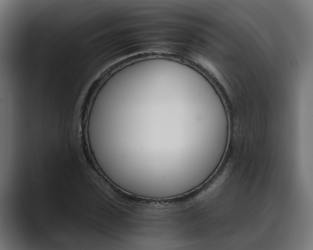 X0000089970923200706291101