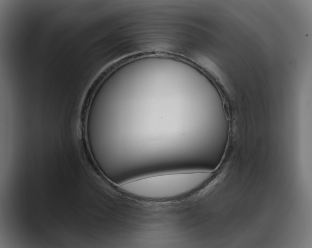 X0000089970924200706291101