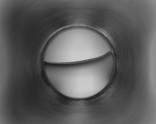 X0000089970926200706291101