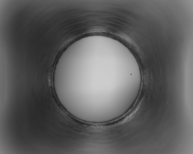 X0000089970929200706291102