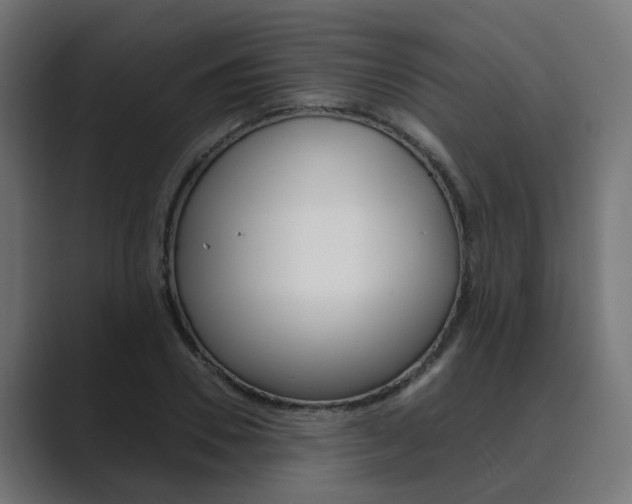X0000089970930200706291102