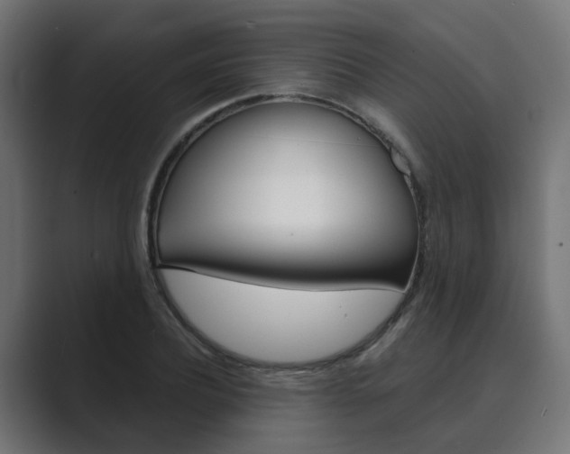 X0000089970932200706291102