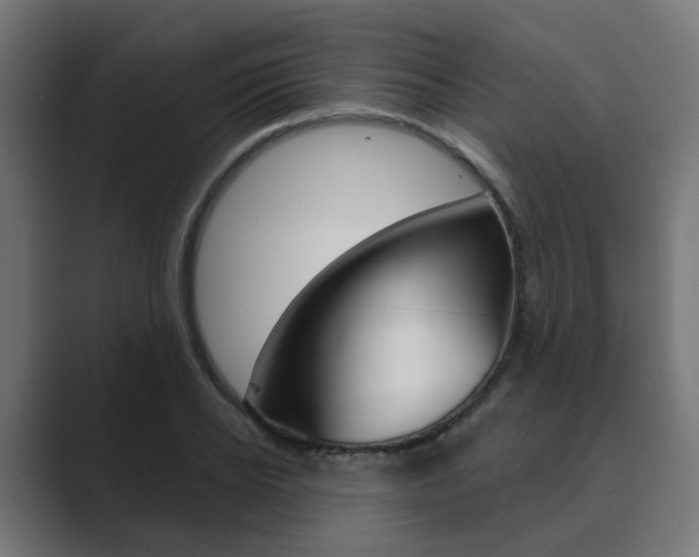 X0000089970934200706291102