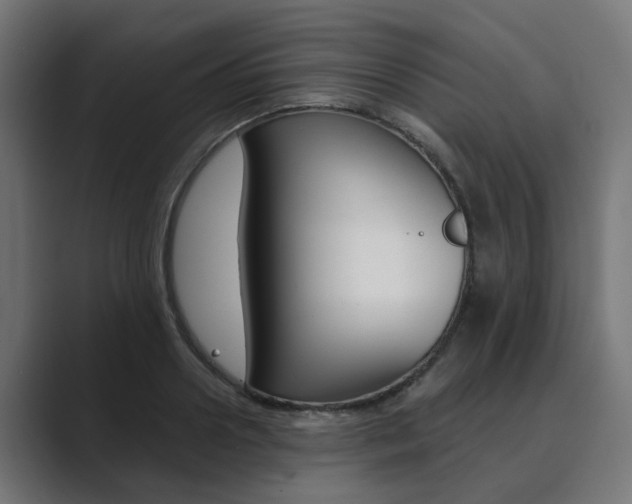 X0000089970938200706291102