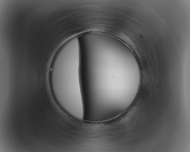X0000089970939200706291102