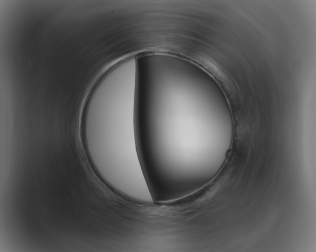 X0000089970940200706291102