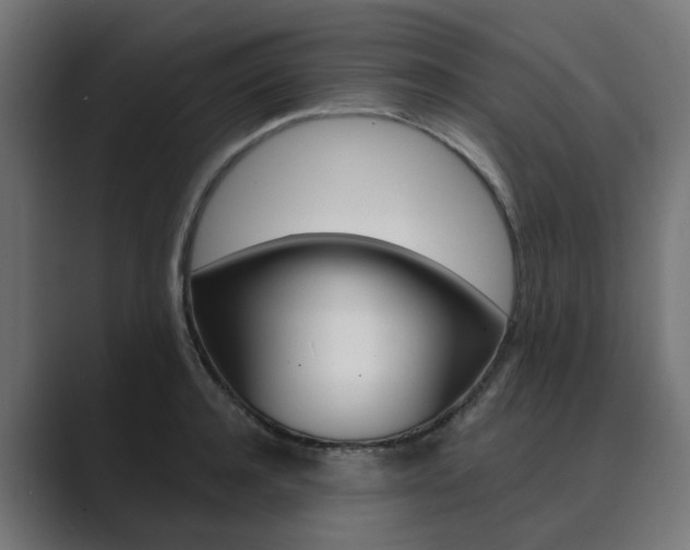 X0000089970944200706291102