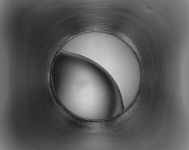 X0000089970946200706291102