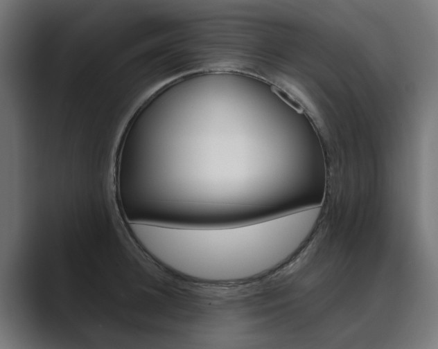 X0000089970948200706291102
