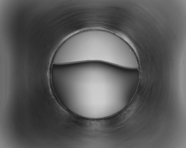 X0000089970951200706291102