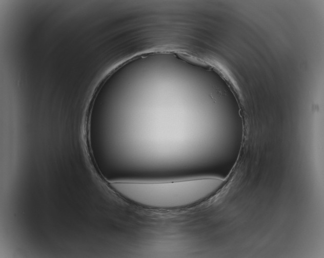 X0000089970952200706291102