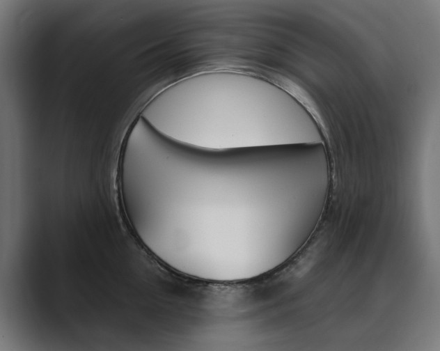 X0000089970954200706291102