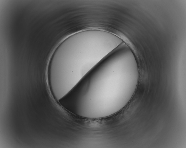 X0000089970955200706291102