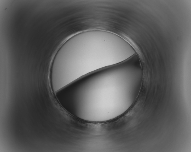X0000089970956200706291102