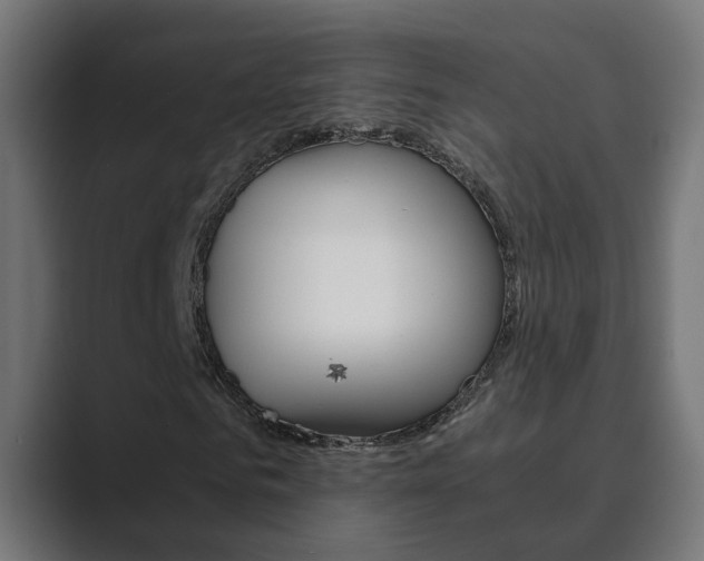 X0000089970961200706291101