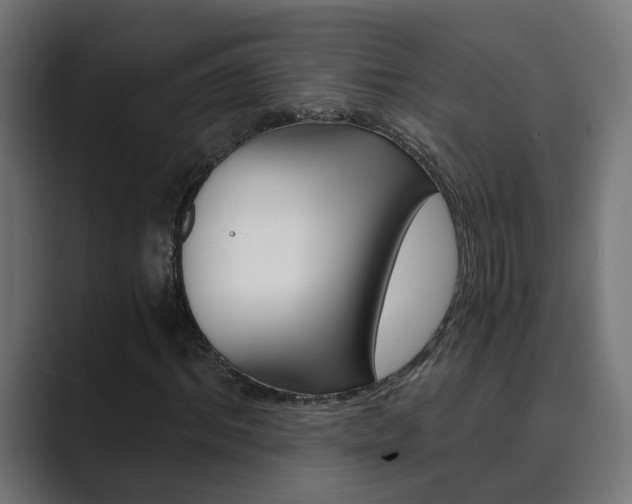 X0000089970964200706291101